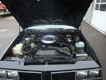 86 Olds 442 rust free -nice driver!